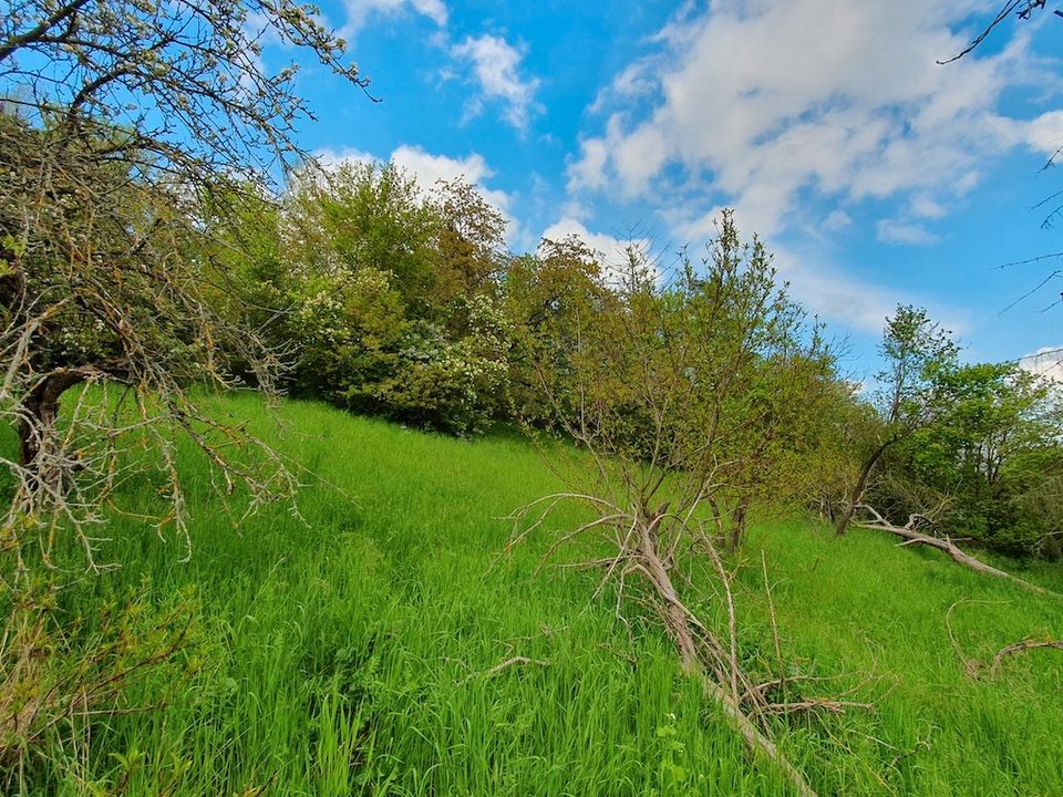 Grundstück mit Hanglage und atemberaubendem Weitblick in Wetterzeube