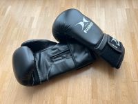 Boxhandschuhe Hammer - Premium Training - 12oz Niedersachsen - Göttingen Vorschau
