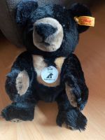 Steiff Moonie Animal Asia Teddy Bär Plüschtier Sammler Saarland - St. Wendel Vorschau