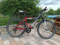 Fahrrad zu verkaufen Thüringen - Mühlhausen Vorschau