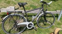 Trekkingbike Curtis 28 Zoll Friedrichshain-Kreuzberg - Kreuzberg Vorschau