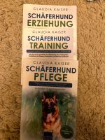 Schäferhund Pflege, Training, Erziehung Nordrhein-Westfalen - Hennef (Sieg) Vorschau