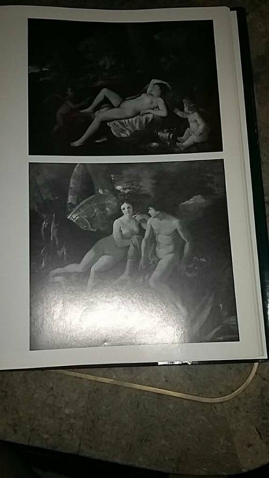 Nicolas Poussin Janina Michalkowa Buch Kunst Malerei VEB DDR GDR in Berlin