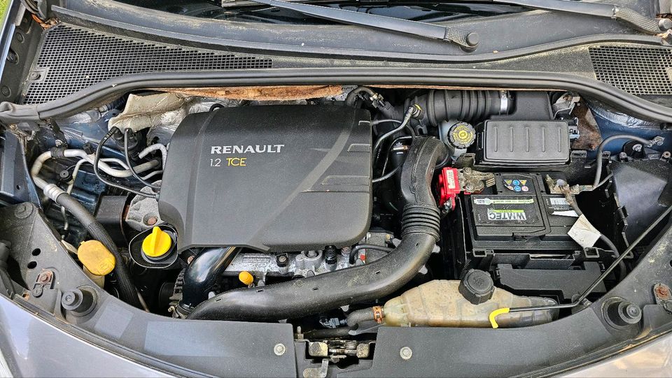 Renault clio in Markt Schwaben