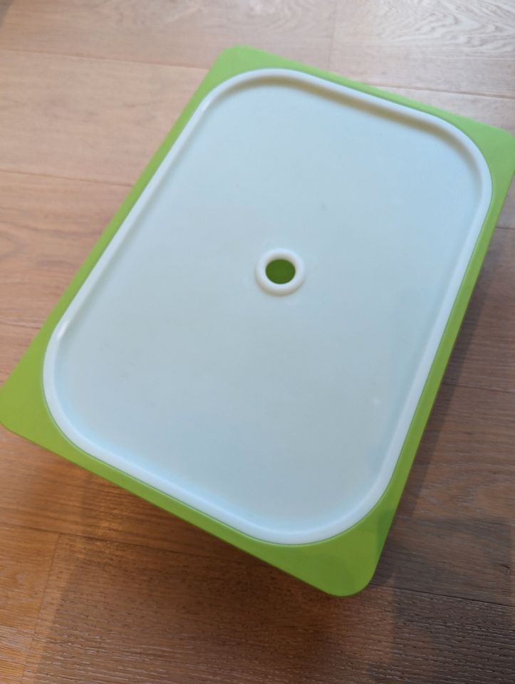Ikea Trofast Box mit Deckel grün 42x30x10 cm in Hamburg