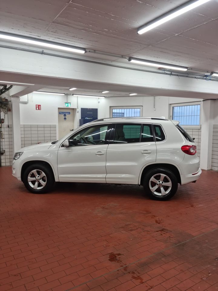 VW Tiguan 2.0 TDI in Aachen