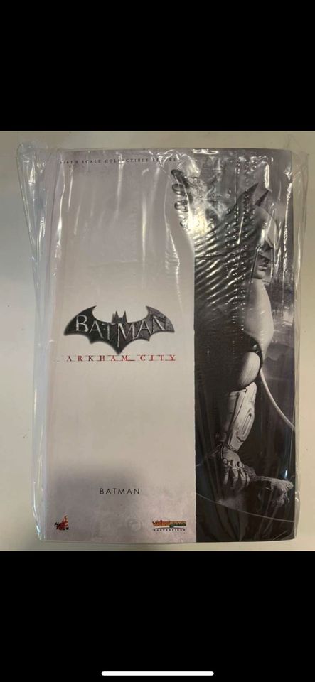 Hot Toys Batman Arkham City VGM018 neu in München