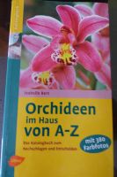 Isabelle Bert Orchideen im Haus von A-Z - 380 Fotos Sachsen - Schwepnitz Vorschau