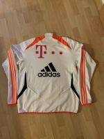 Fc Bayern München,Matchworn,Spielertrikot,Formotion Dresden - Cotta Vorschau