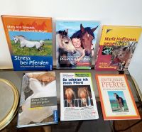 6 x Pferde Bücher Haltung Erste Hilfe Sachkunde Sicherheit NEU! Friedrichshain-Kreuzberg - Friedrichshain Vorschau