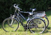 Fahrräder Citybikes Damenrad 28" Raleigh & Herrenrad Pegasus 28" Sachsen - Zwenkau Vorschau