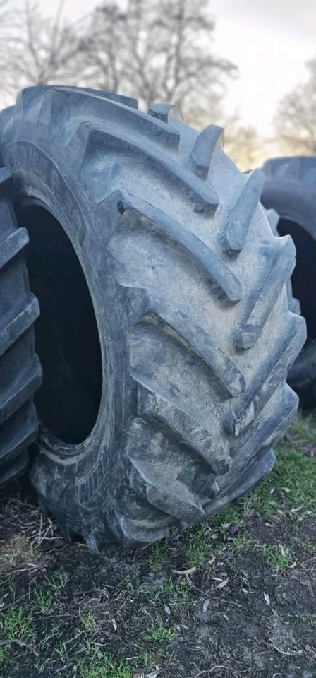 650/65R38 Michelin Multibib Firestone 650/65/38 in Delmenhorst