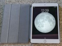 Apple iPad Mini mit WLAN + SIM A1600 mit Hülle Niedersachsen - Rotenburg (Wümme) Vorschau