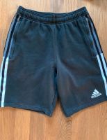 Adidas Shorts Bayern - Wolnzach Vorschau