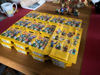 Lego Minifiguren Serie 25 - 2x KOMPLETT und einzelne Figuren! Rheinland-Pfalz - Müllenbach (bei Adenau) Vorschau