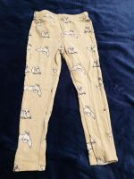 Harry Potter Leggins Größe 98/104 Berlin - Treptow Vorschau