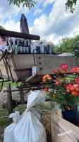 Premium Wurmhumus aus Pferdedung - Ideale Nahrung für Ihre Rosen Niedersachsen - Vierhöfen Vorschau