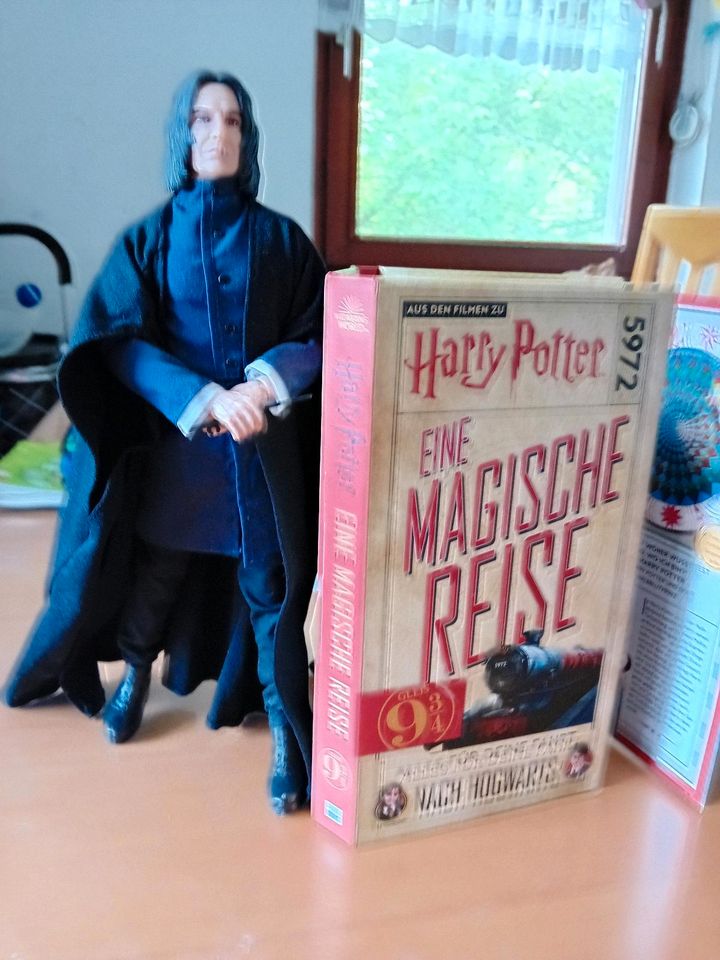 Severus Snape Figur Mattel Harry Potter eine magische Reise in Unterhaching