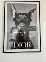 Dobermann Poster Dior Nordrhein-Westfalen - Rheinberg Vorschau