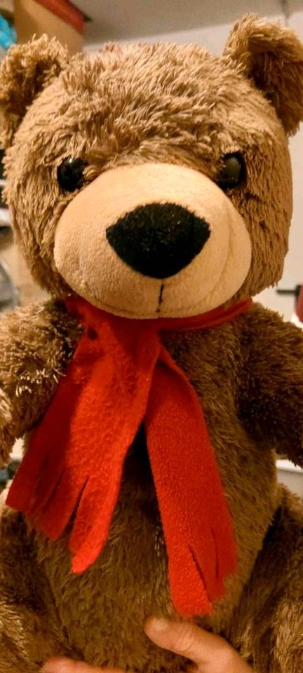 Teddybär mit Schal in Feldkirchen