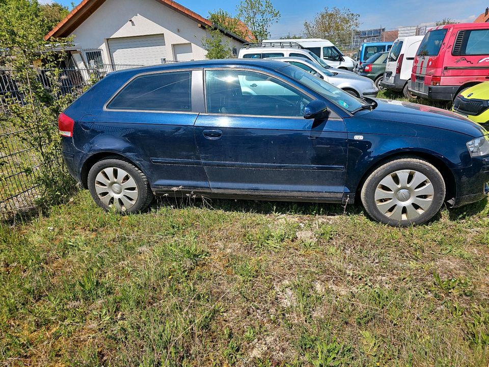 Audi A3 8p in Walldürn