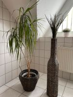 Set Blumentopf Bambus Vase Bodenvase braun geflochten Niedersachsen - Vechta Vorschau
