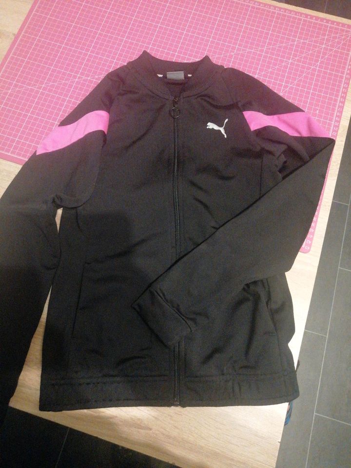 Puma Jogger 152 mädchen in Lünen