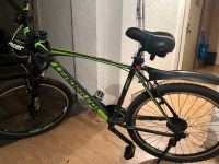 Fahrrad Mountainbike Sachsen-Anhalt - Halle Vorschau