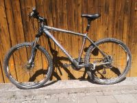 Mountainbike Damen Cannondale Gr. L Hessen - Weilrod  Vorschau