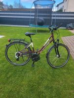 Damenfahrrad DRIVE ALU Zoll 28 Rheinland-Pfalz - Bretzenheim Vorschau