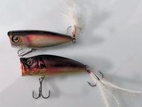 2x Popper: Jackall ( illex ) sk pop + Shimano Tight-x-End PP 50A Wuppertal - Elberfeld Vorschau