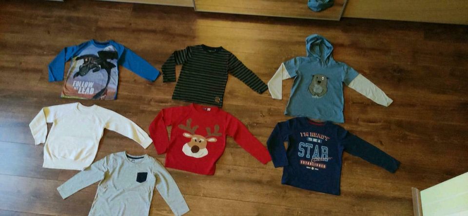 15 Pullover/Langarmshirts Junge 110/116 in Pulsnitz