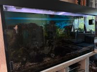 Aquarium 320l mit Unterbau Thüringen - Erfurt Vorschau