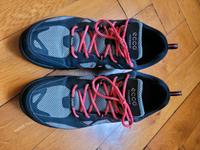 selten getragene ecco BIOM Laufschuhe, gr. 37,5 oder 38 Hannover - Vahrenwald-List Vorschau