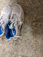 Sportschuhe Sachsen - Reichenbach (Vogtland) Vorschau