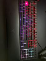 Razer Ornata Chroma, Razer DeathAdder Nordrhein-Westfalen - Rheine Vorschau