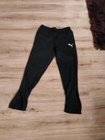 Puma jogginghose Damenbekleidung Größe M Geeste - Dalum Vorschau
