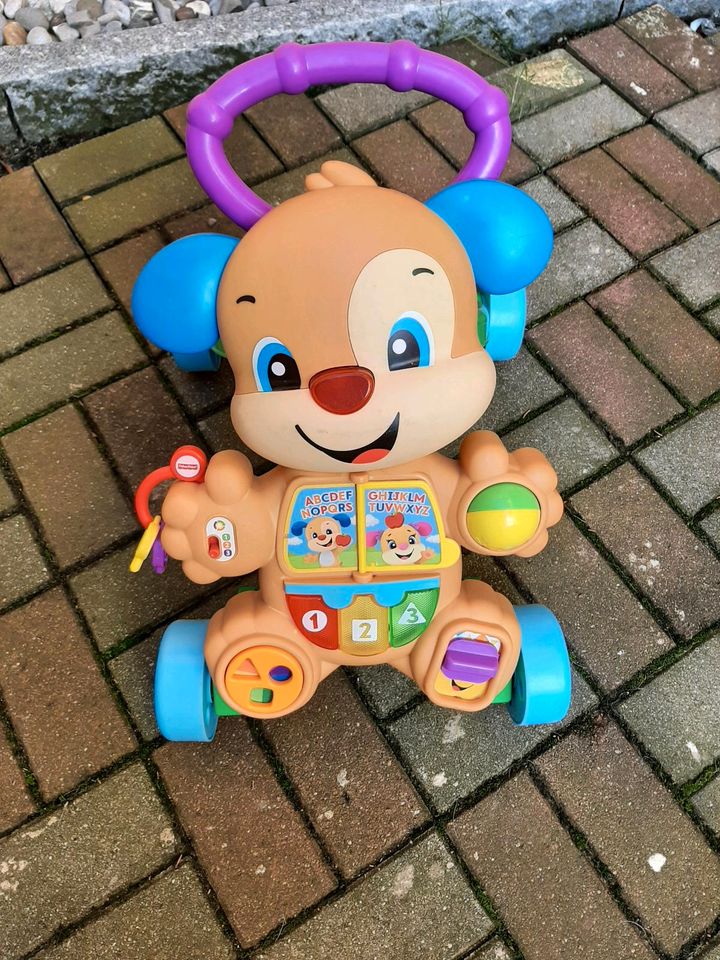 Fisher Price Lauflernwagen in Zuchau