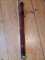 Dogs Creek Hunde Halsband Voyager Orange ca. 30-40cm Halsumfang Dresden - Neustadt Vorschau