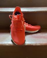 Reebok Sneaker Gr. 38 neu Sachsen - Flöha  Vorschau