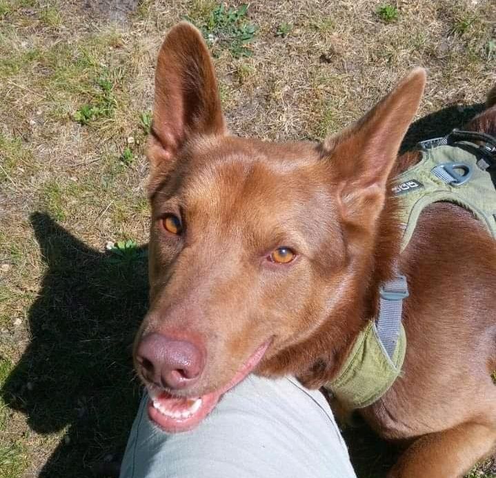 VIGO ❤️ Alleine Joggen war gestern! in Berlin