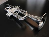 Vorschaubild einer Anzeige von www.brassmarket.de