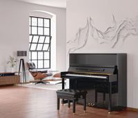 Klavier kaufen in Hamburg -> C. Bechstein Premium-Beratung auch bei Ihnen zu Hause Hamburg-Mitte - Hamburg Altstadt Vorschau