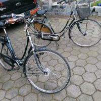 2 Batavus Fahrräder 140€zusammen Niedersachsen - Löningen Vorschau