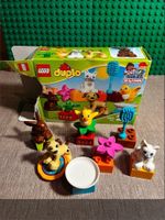 LEGO Duplo „My Town“ 10838 – Tiere-Set Nordrhein-Westfalen - Mönchengladbach Vorschau