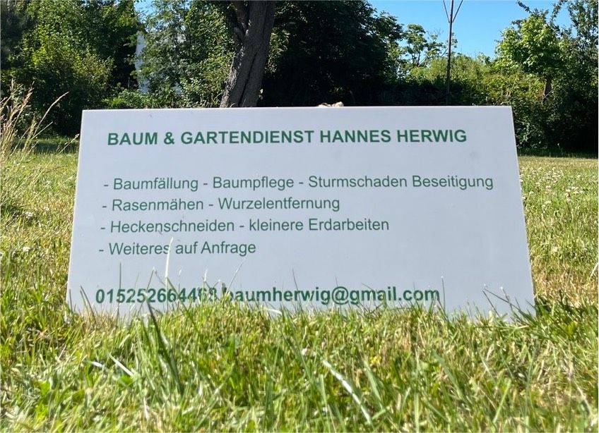 Baum / Gartendienst Hannes Herwig in Nordstemmen
