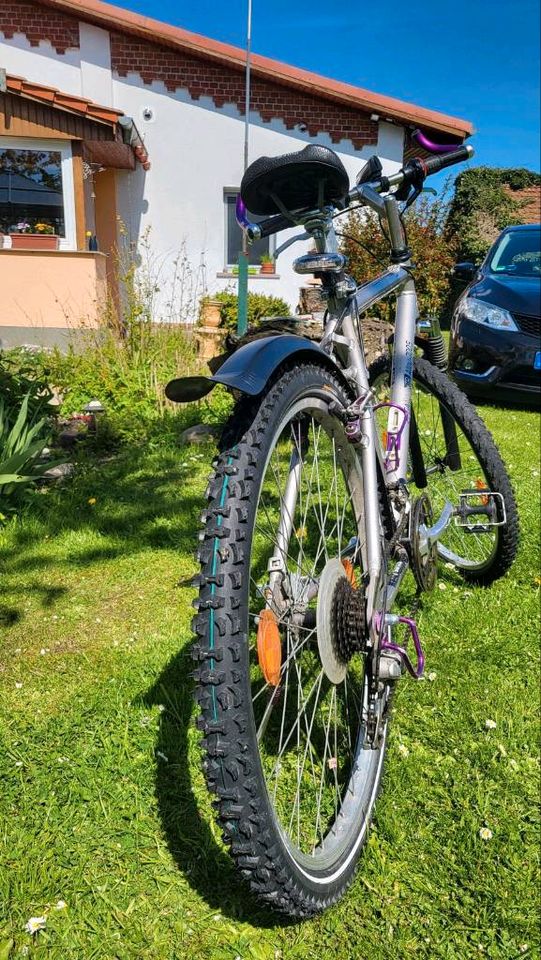 3 Fahrräder zusammen - ein Preis in Schwasdorf