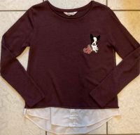 Witziger 2-in-1 Pullover H&M Gr.158/164 bordeauxrot Mops Print Hessen - Ehringshausen Vorschau