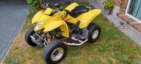 Suzuki Ltz 250 Sport Quad Sachsen - Elsterheide Vorschau