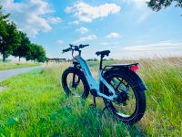 Himiway Zebra (EBike) Mecklenburg-Vorpommern - Friedrichsruhe Vorschau